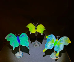 Butterflies and Such